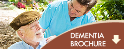 Brochure Download